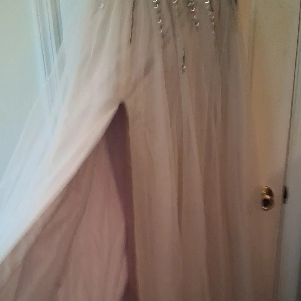 Sparkling Silver and Cream Gown - Picture 4 of 6